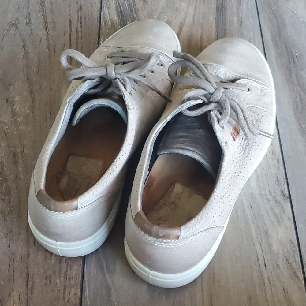Ecco good s4